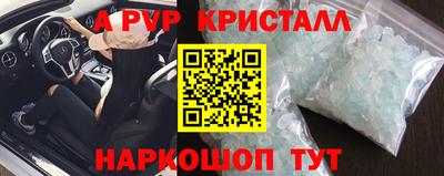 a pvp Кингисепп