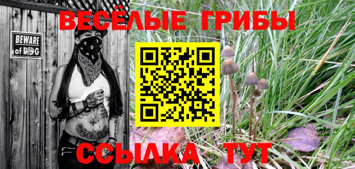 Кстово  Галлюциногенные грибы Psilocybe  Вход с VPN 
