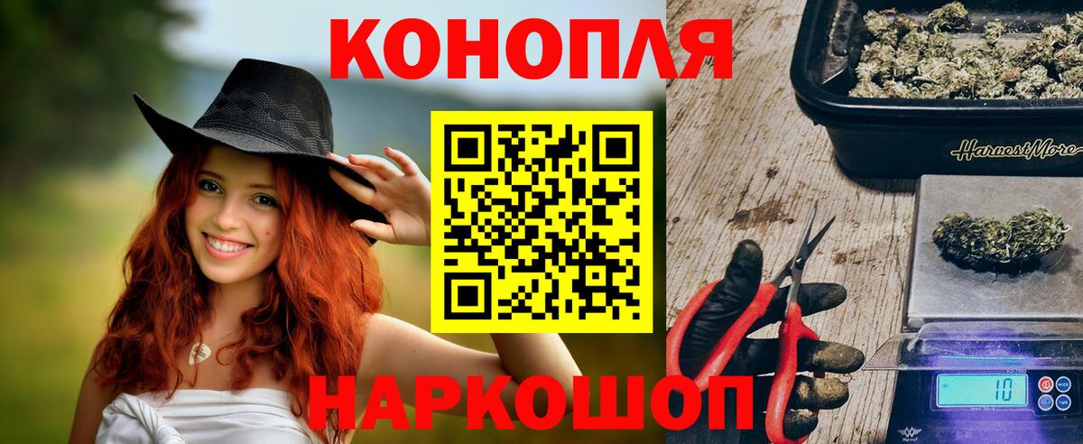 Канабис конопля Кстово